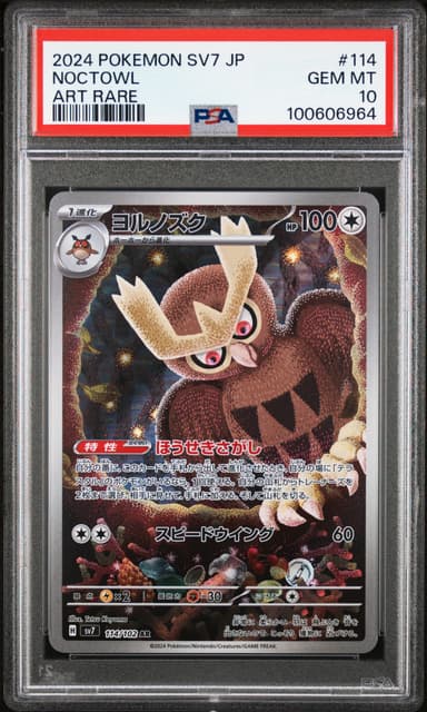 Noctowl