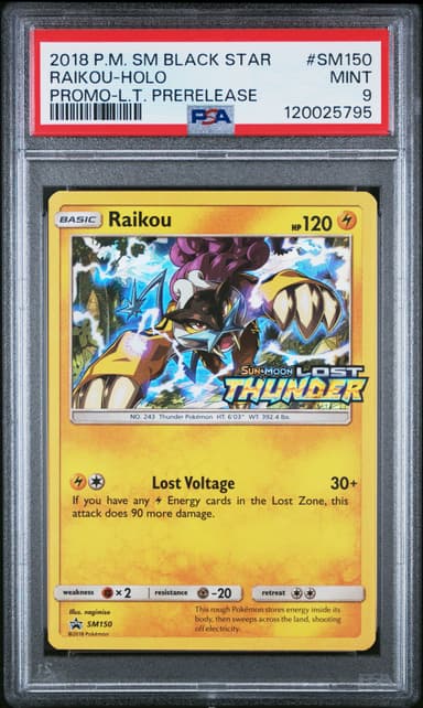 Raikou-Holo