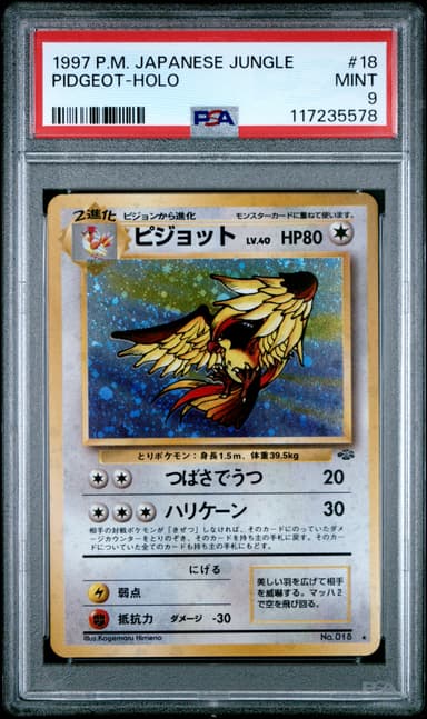 Pidgeot-Holo