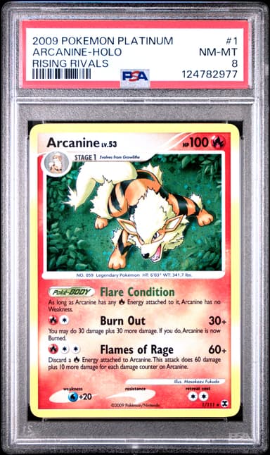 Arcanine-Holo