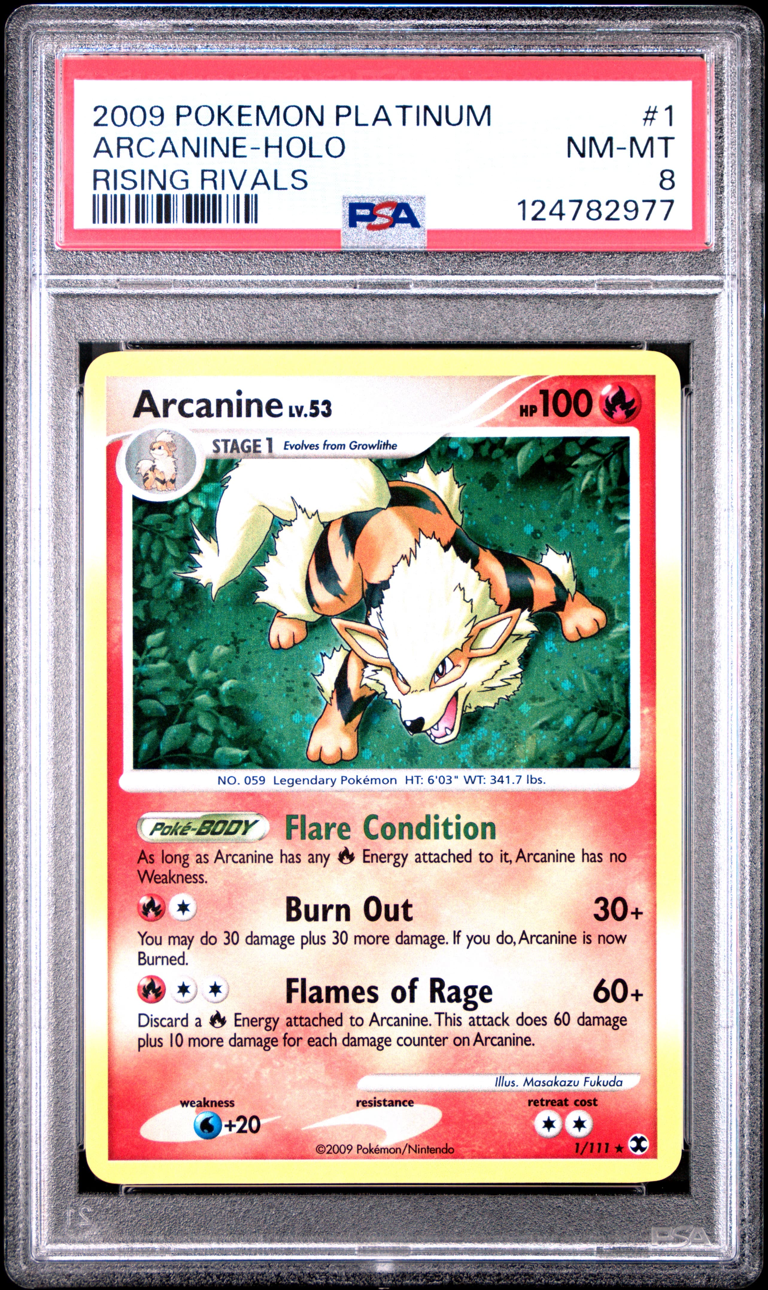 Arcanine-Holo