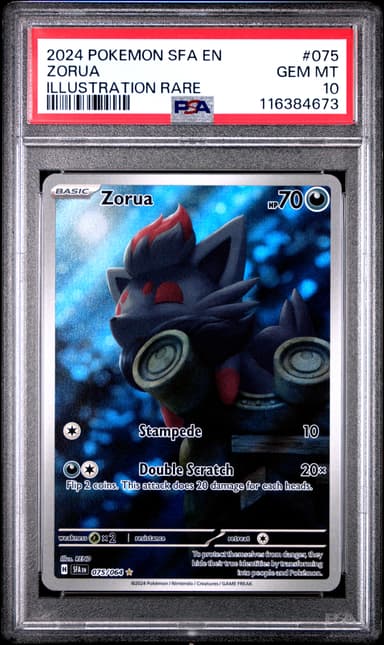 Zorua