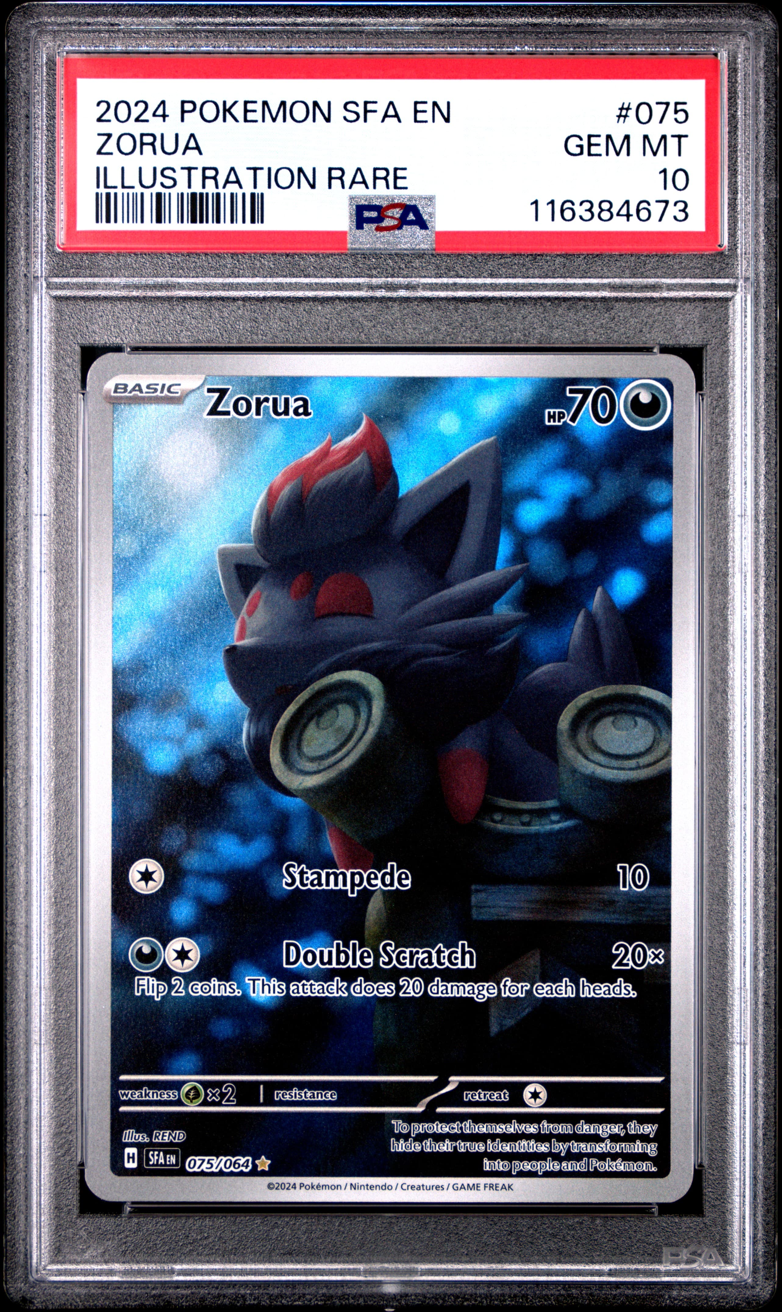 Zorua