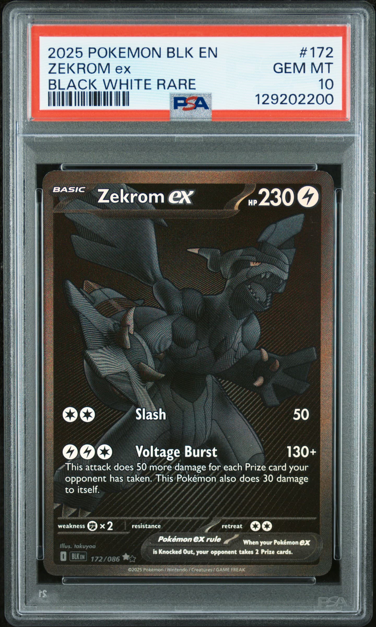 Zekrom EX