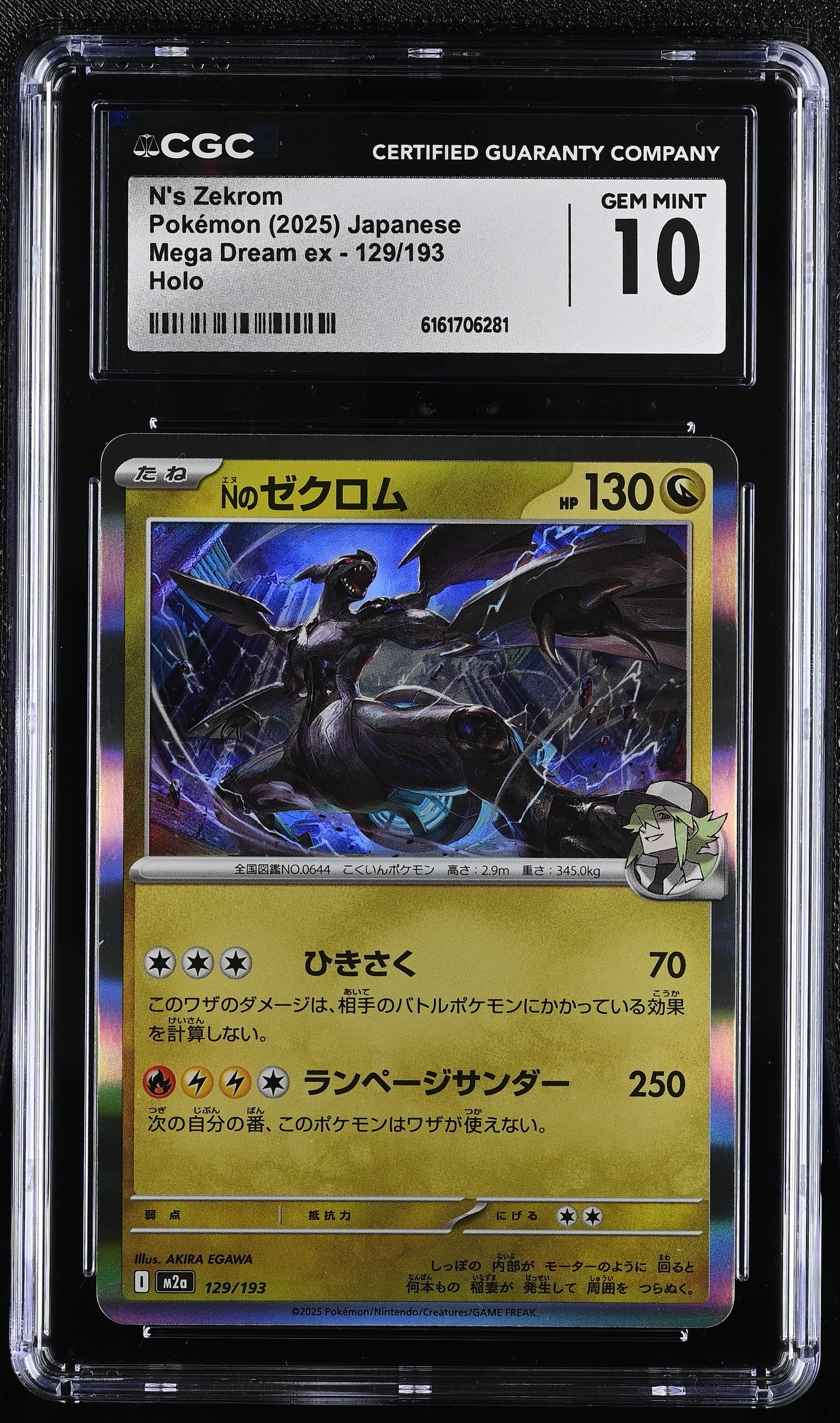 N's Zekrom