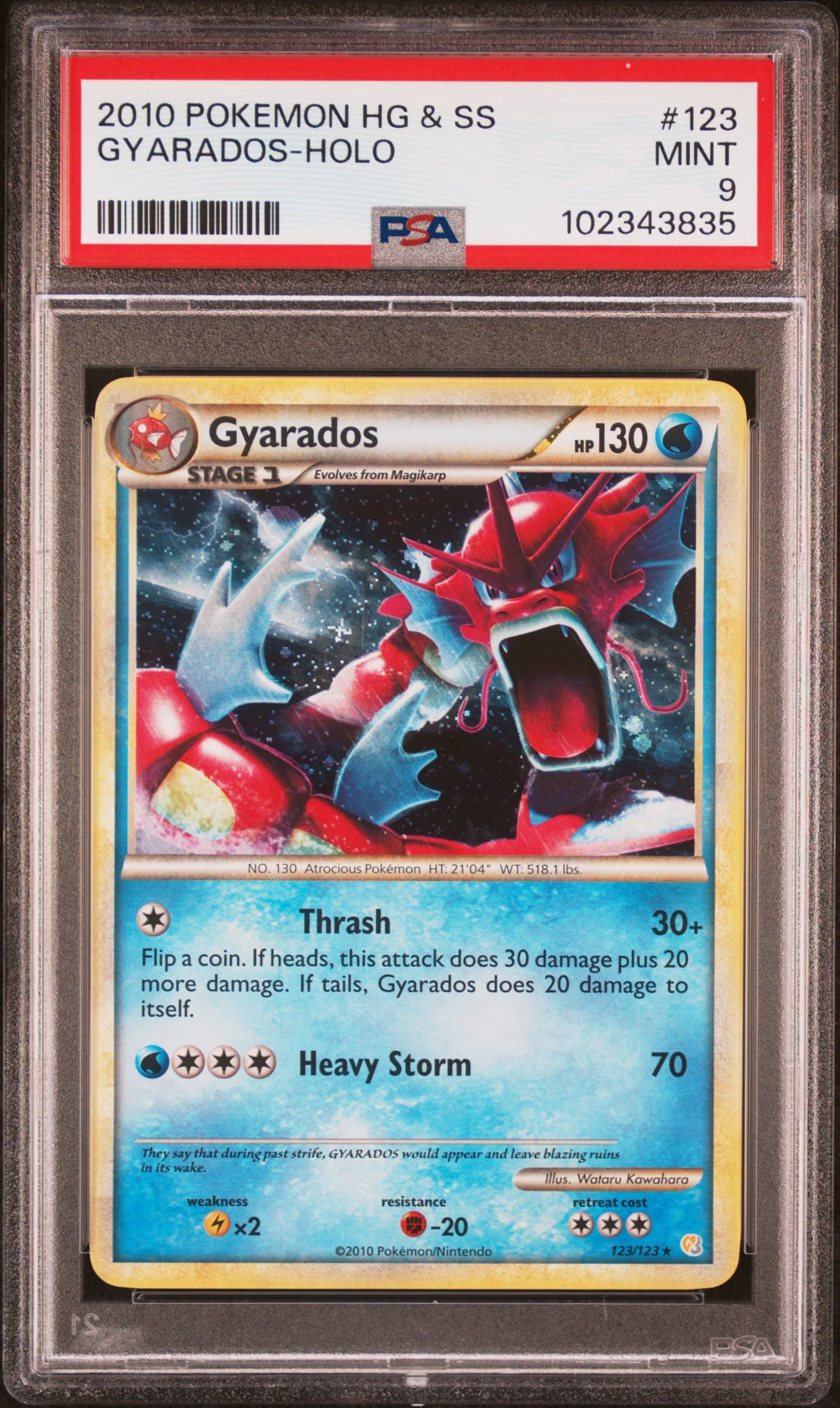 Gyarados-Holo