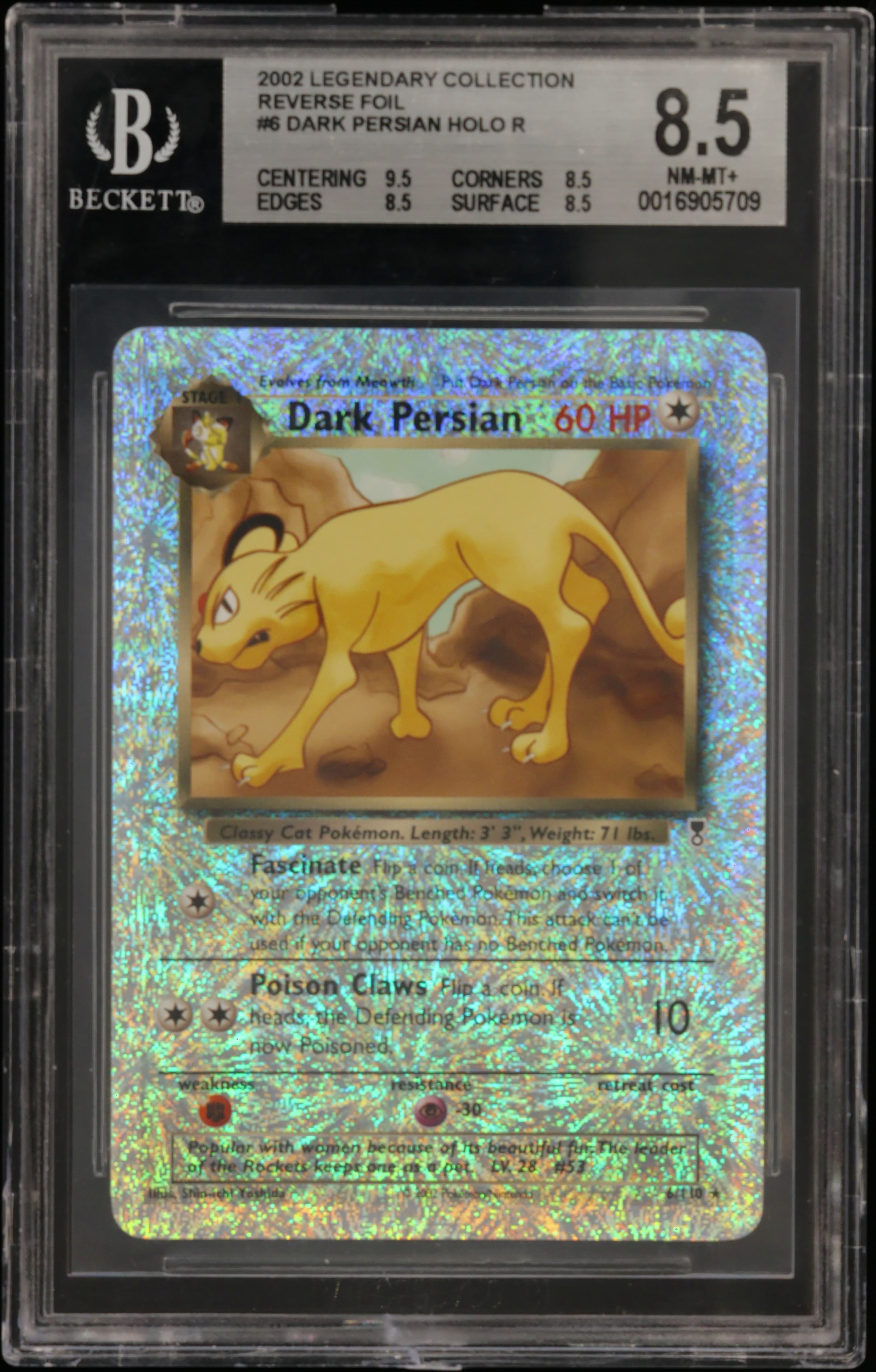 Dark Persian HOLO R