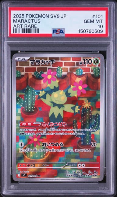 Maractus