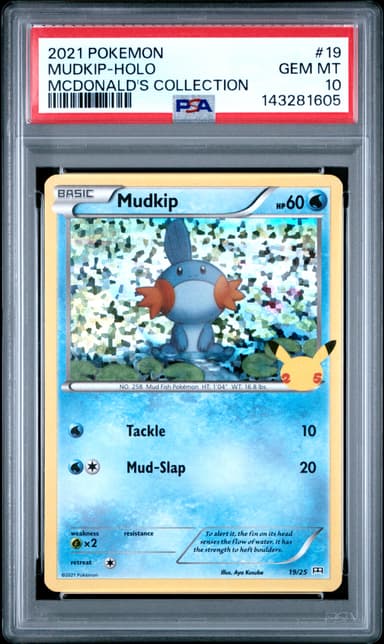 Mudkip-Holo