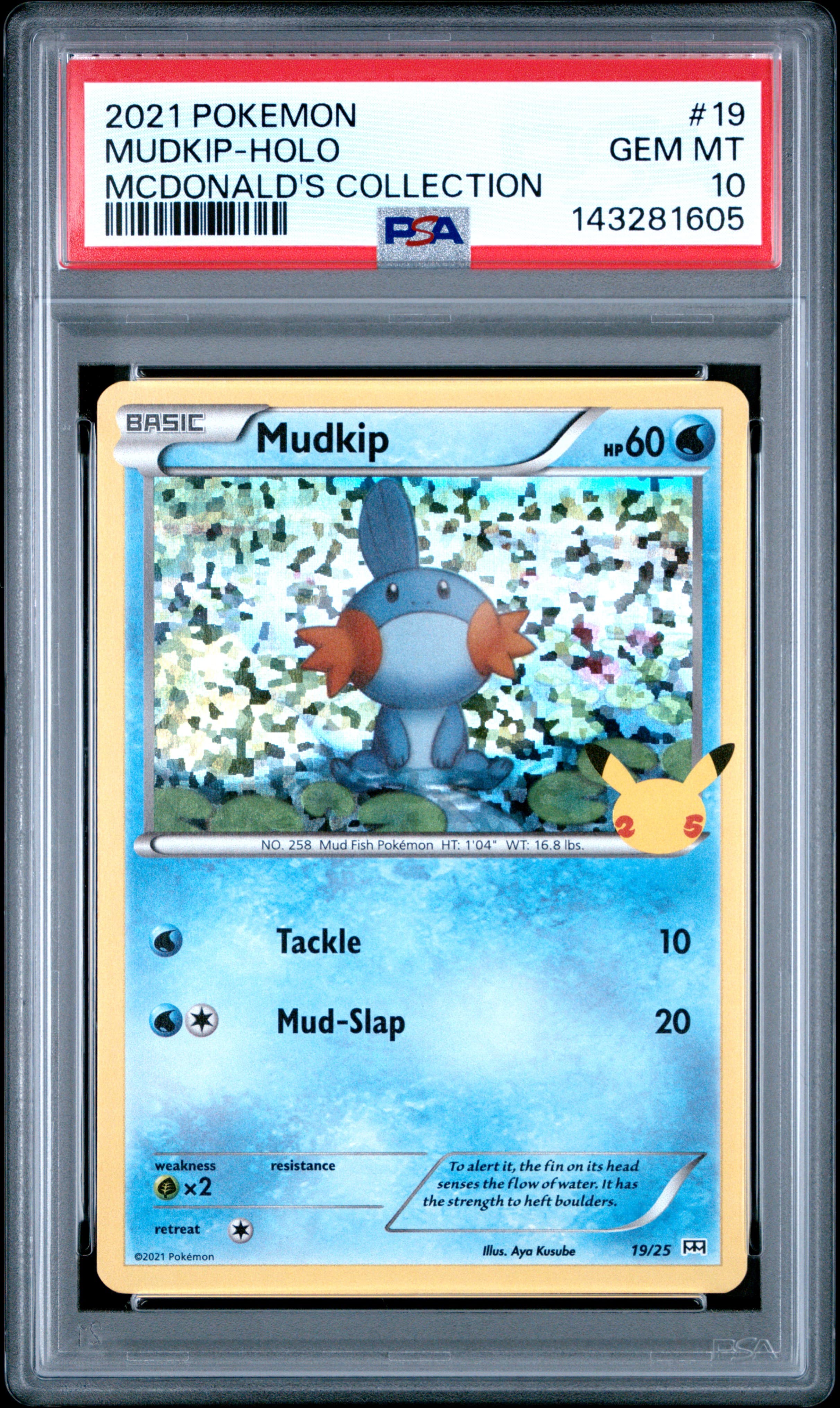 Mudkip-Holo