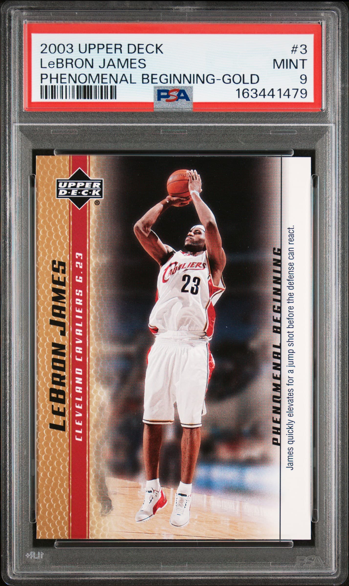 LeBron James