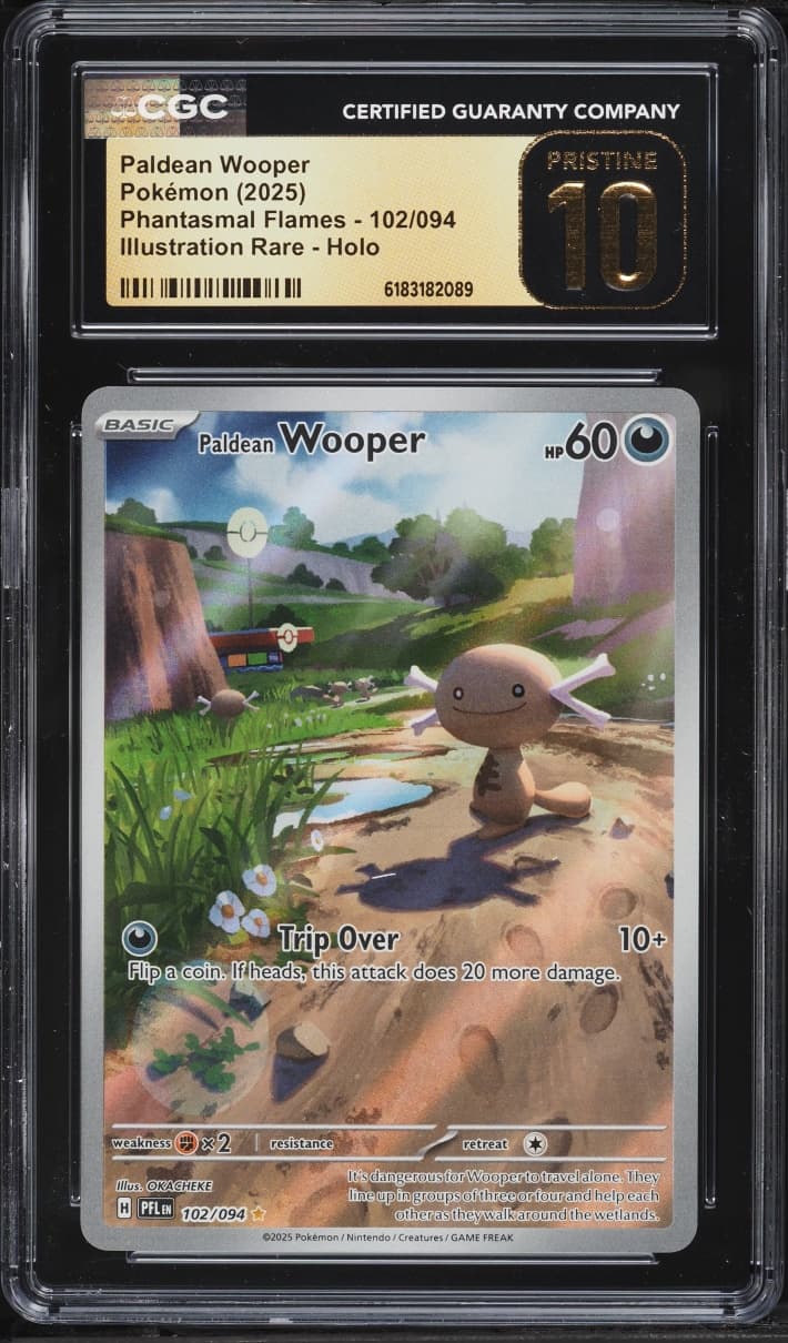 Paldean Wooper