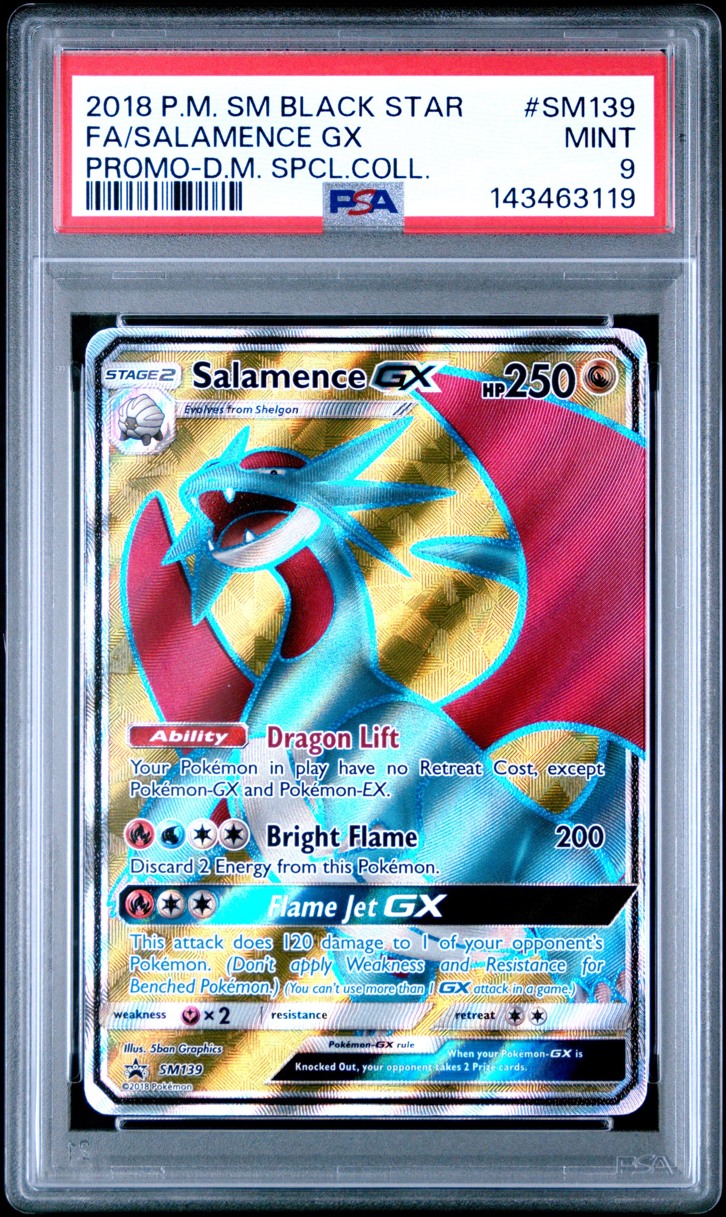Full Art/Salamence GX