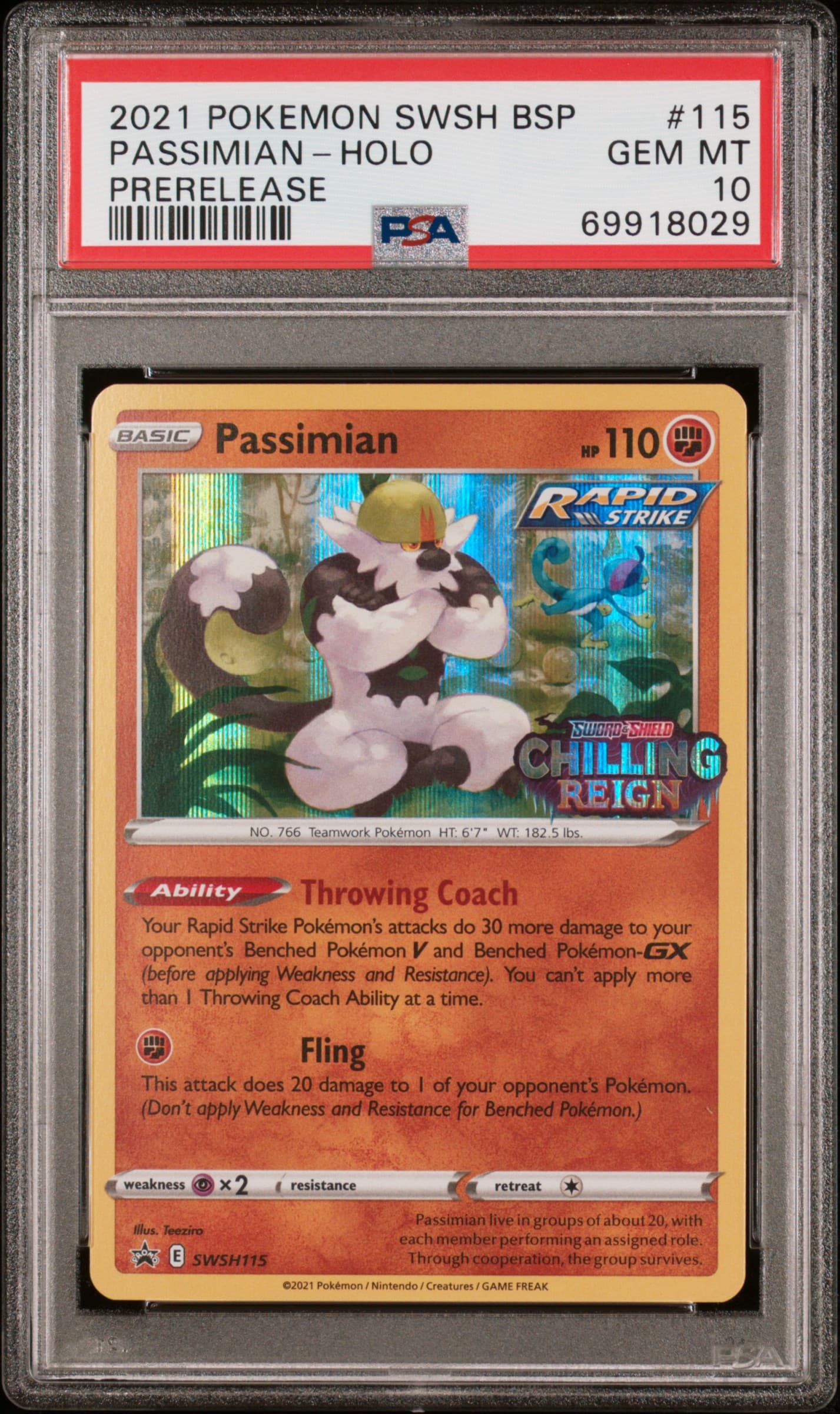 Passimian-Holo