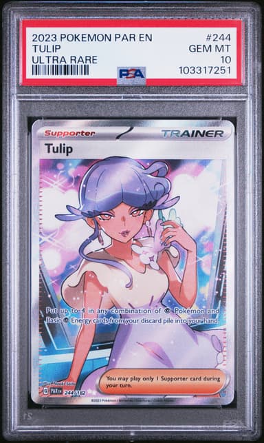 Tulip