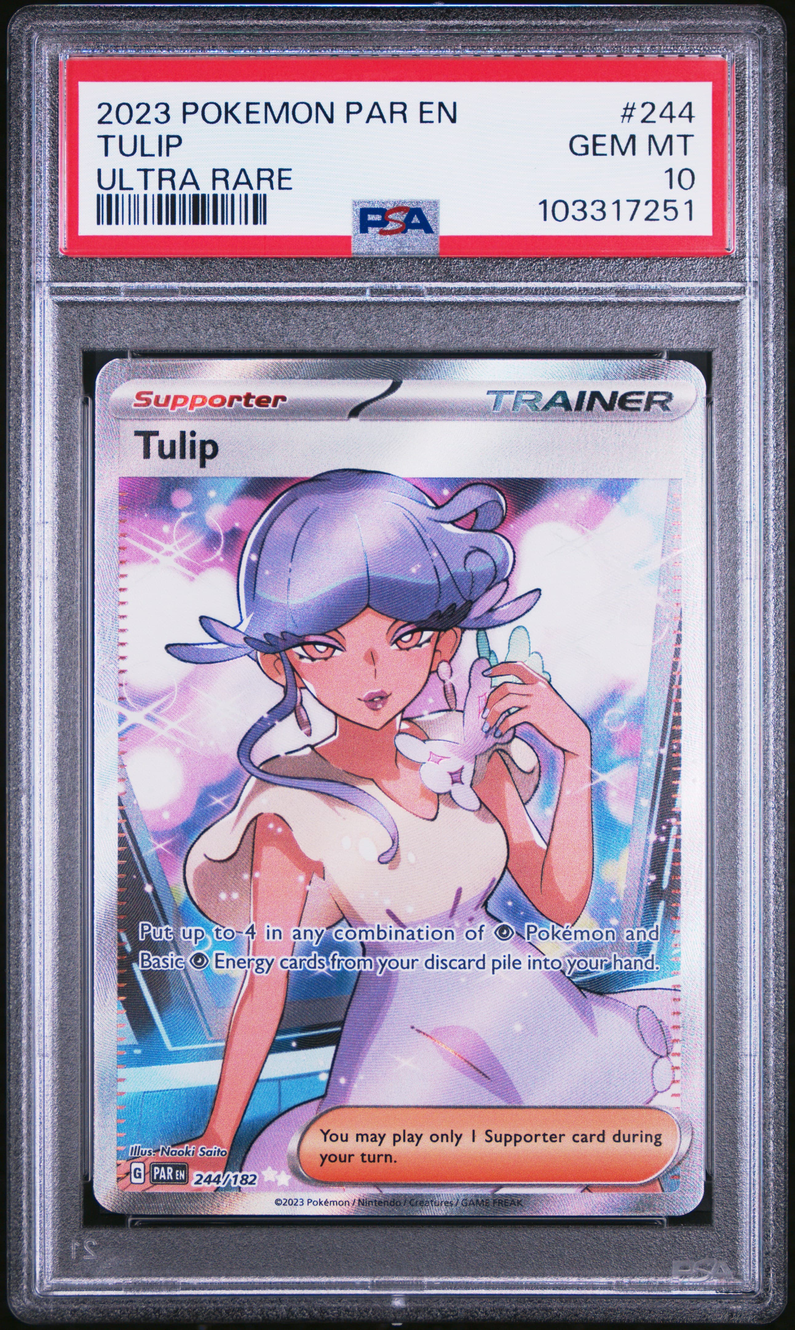 Tulip