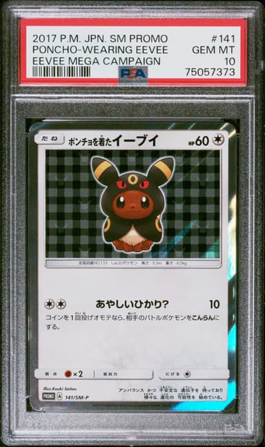 Poncho-Wearing Eevee