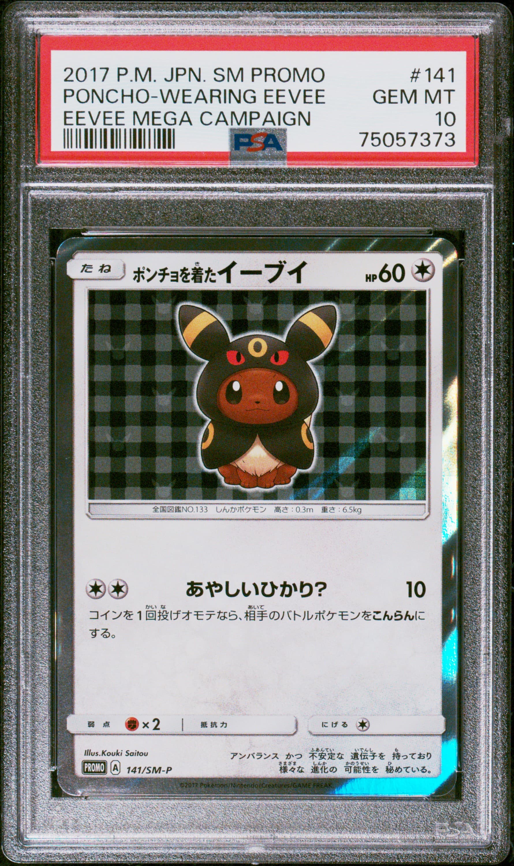 Poncho-Wearing Eevee
