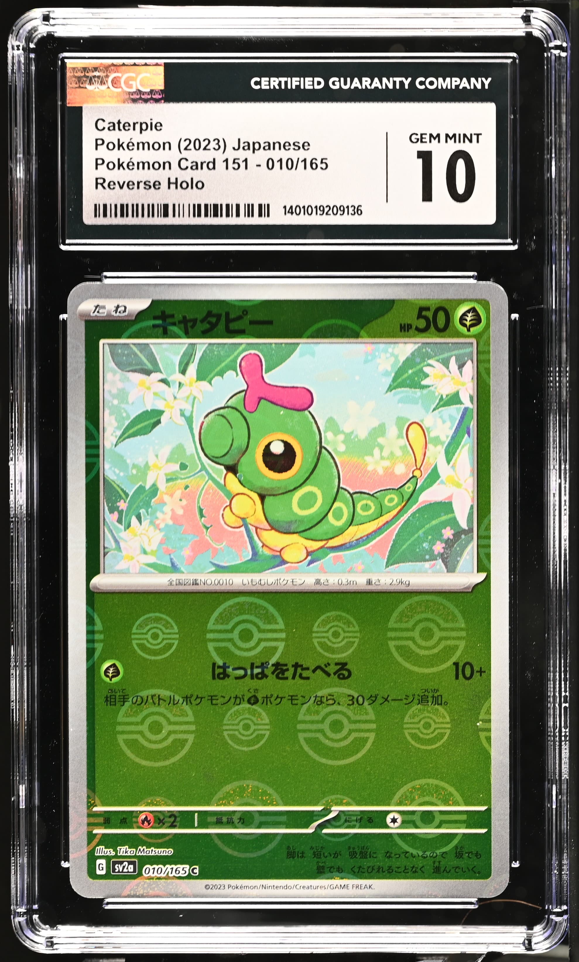 Caterpie