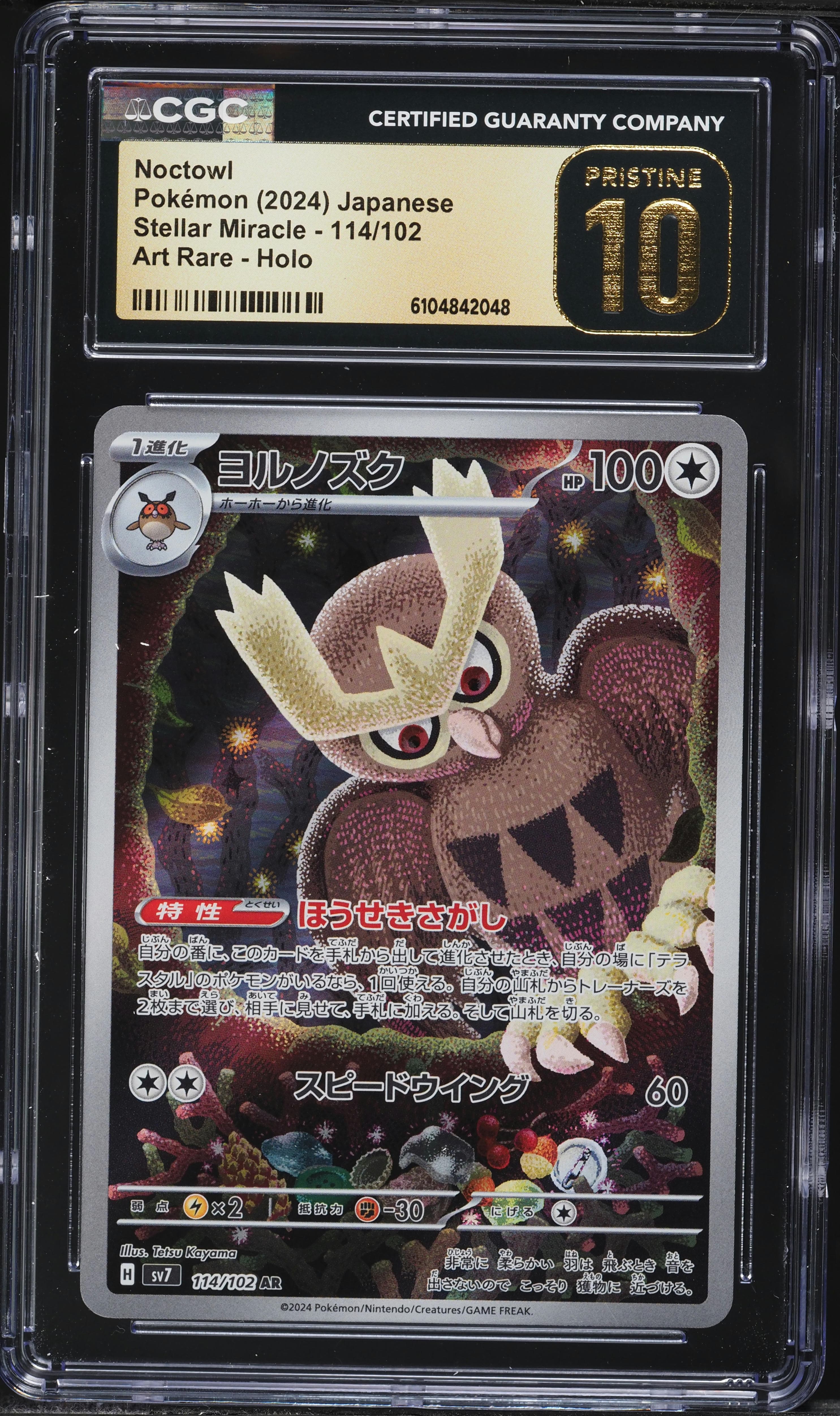 Noctowl