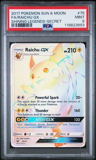 FA/RAICHU GX