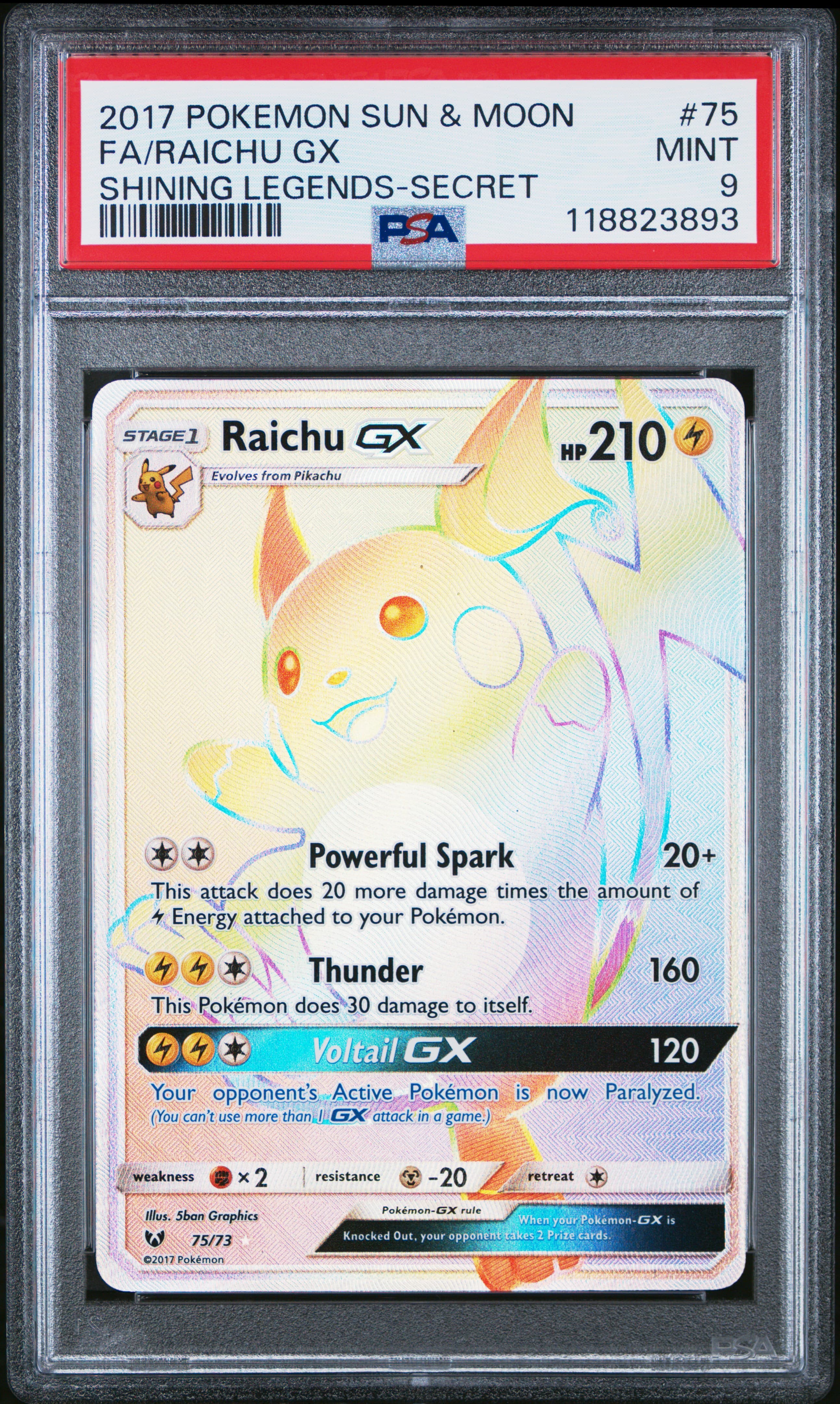 FA/RAICHU GX