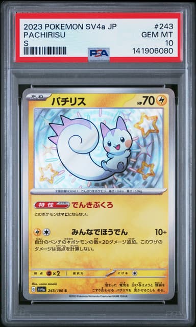 Pachirisu