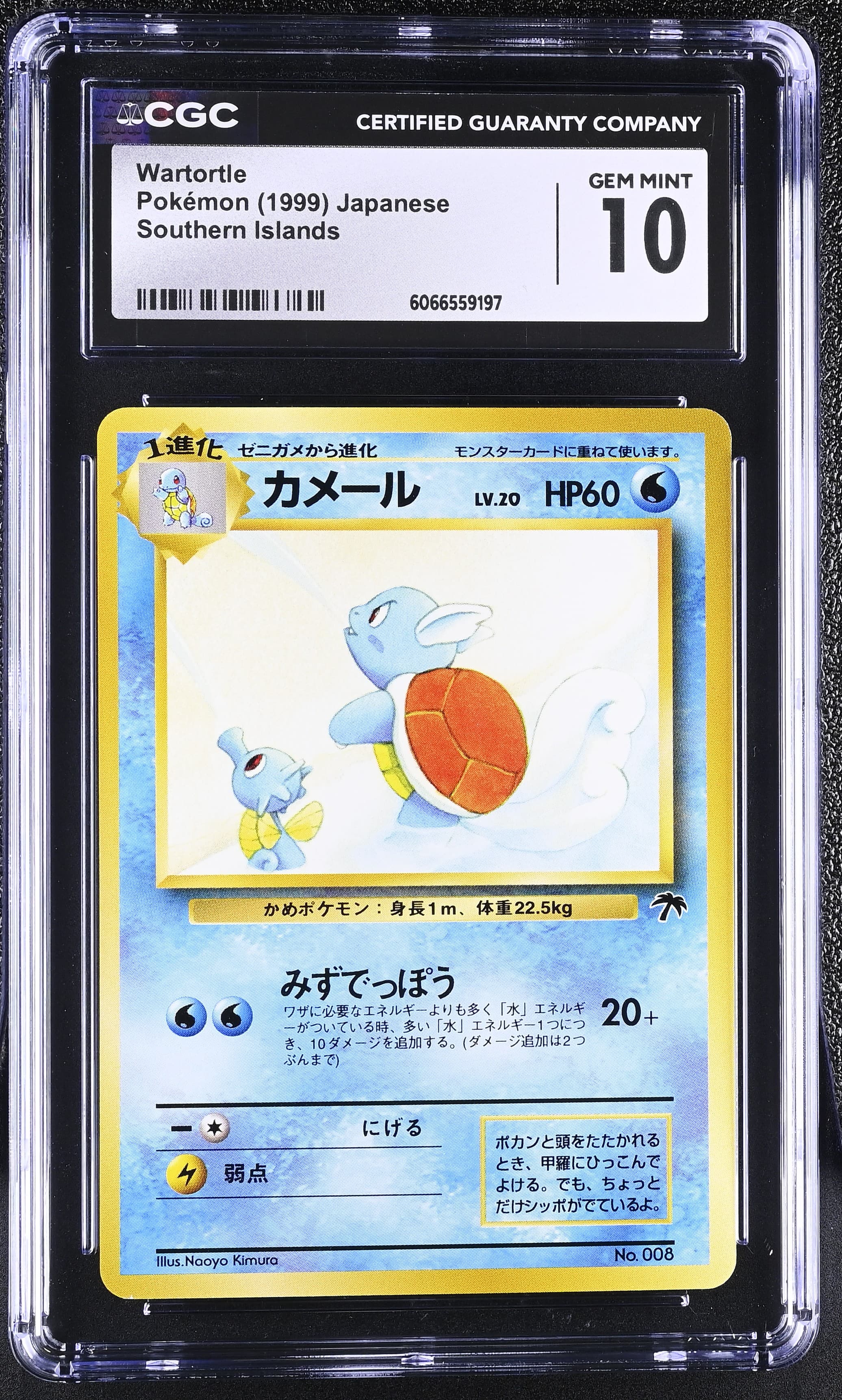 Wartortle