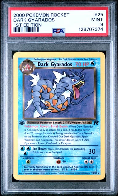 Dark Gyarados 1st Edition