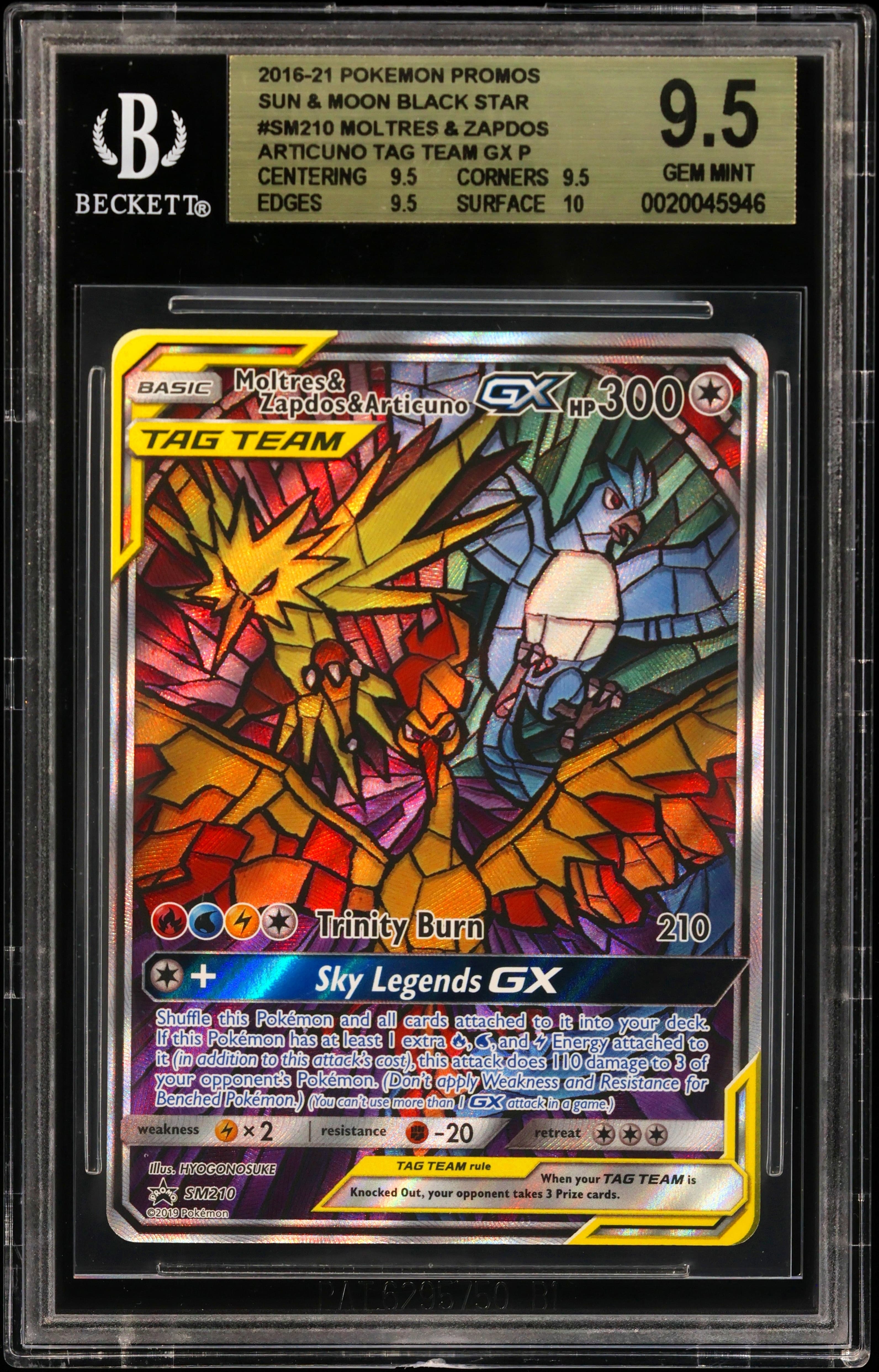 Moltres & Zapdos & Articuno