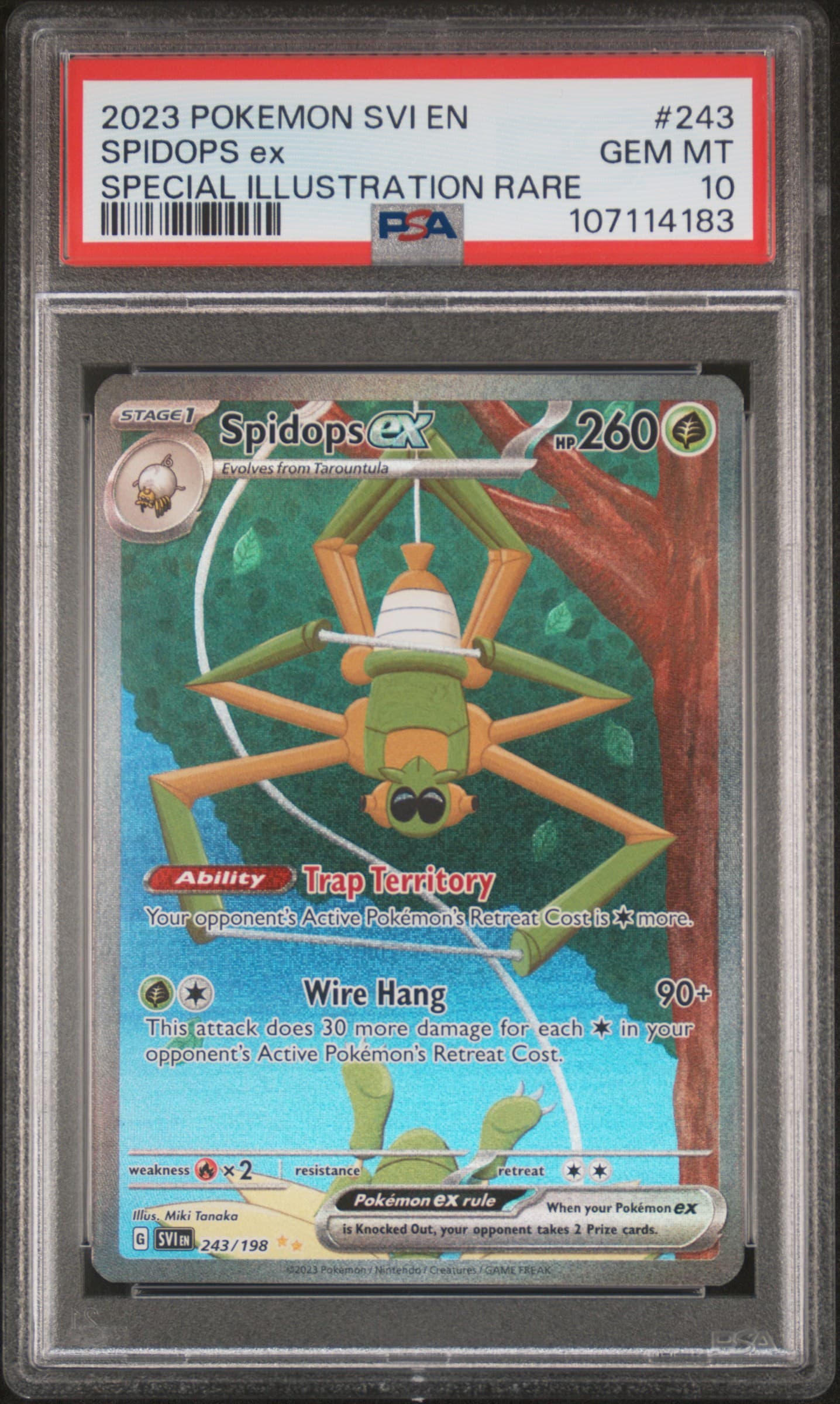 Spidops EX