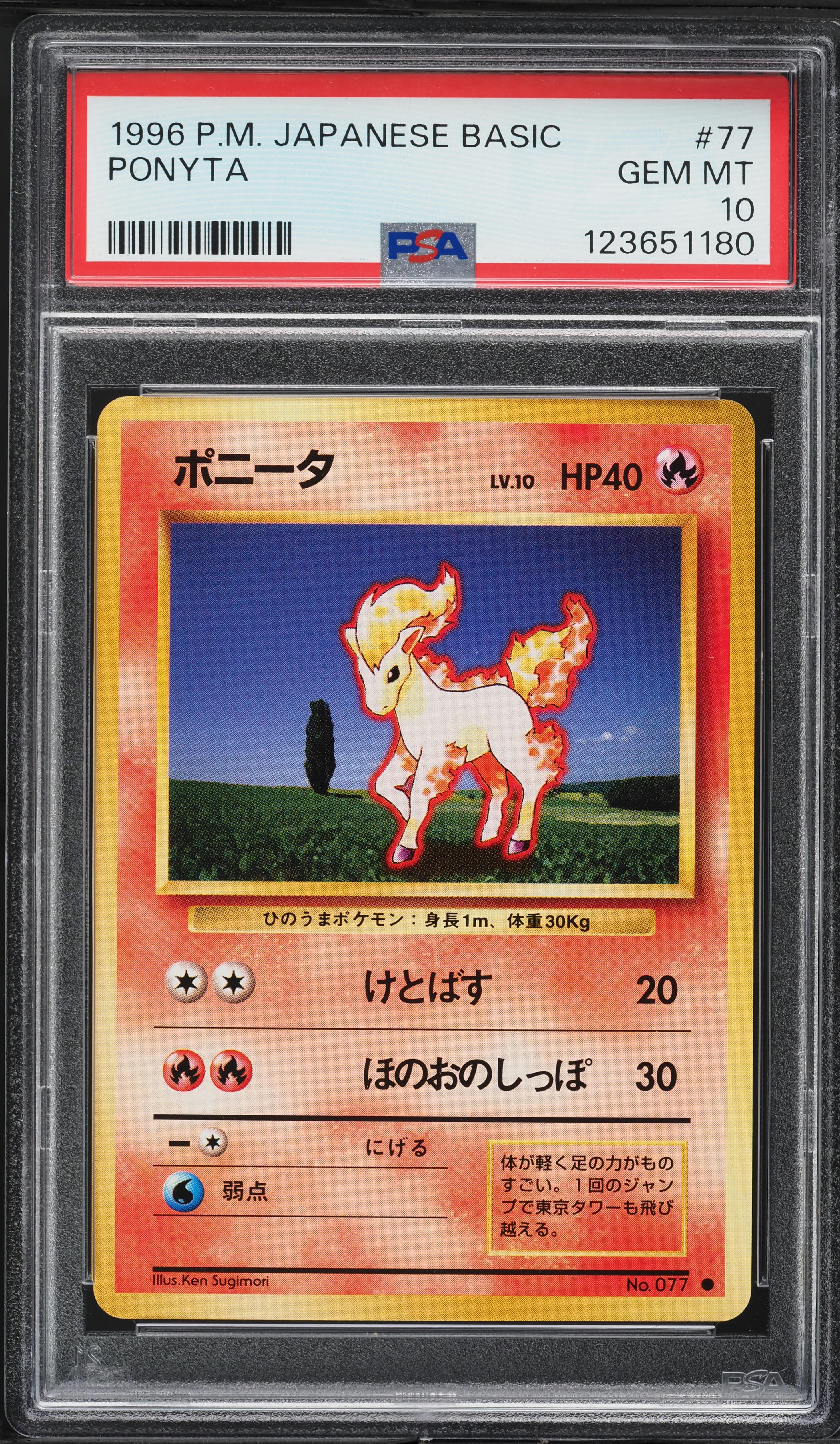 Ponyta