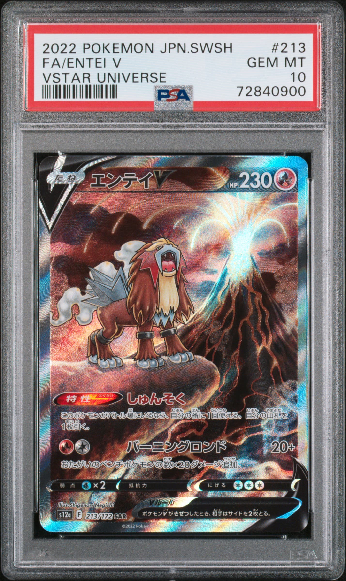 Full Art/Entei V