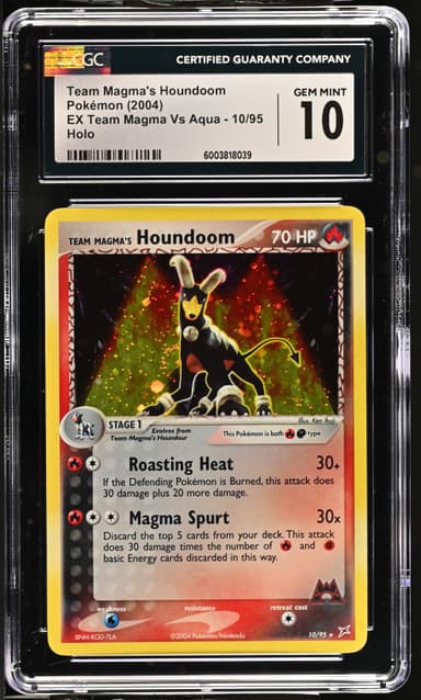 Team Magma's Houndoom