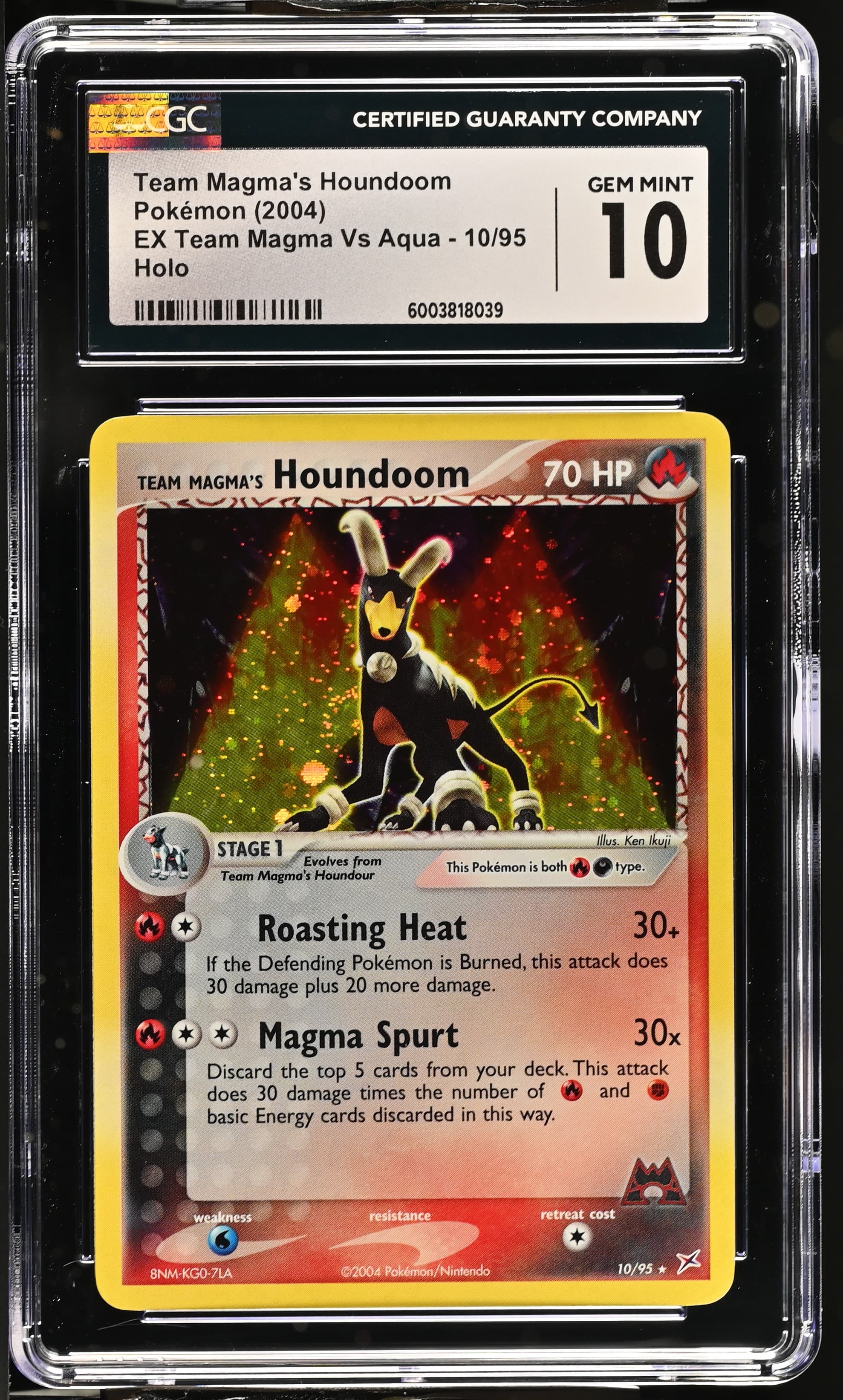 Team Magma's Houndoom