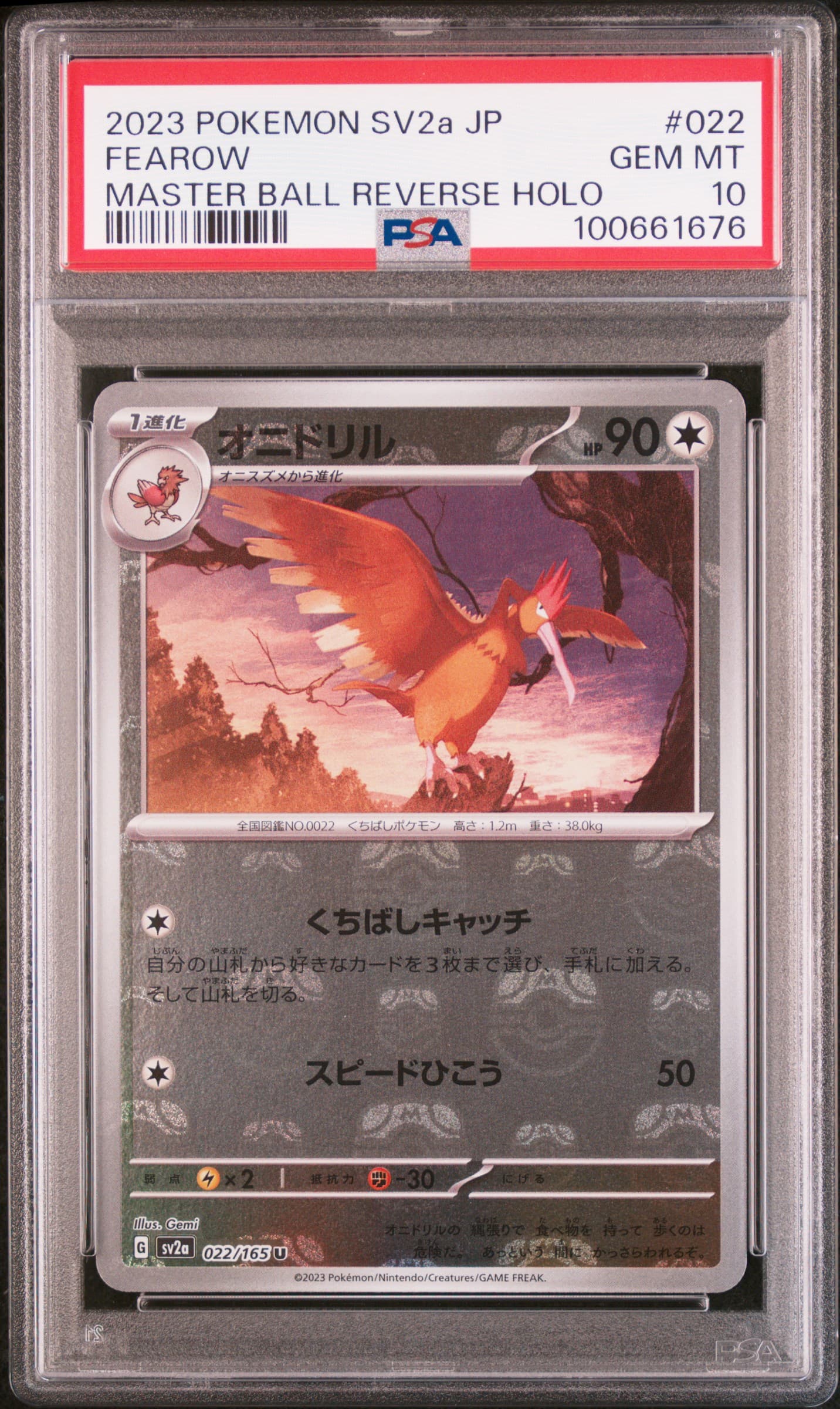 Fearow Master Ball Reverse Holo