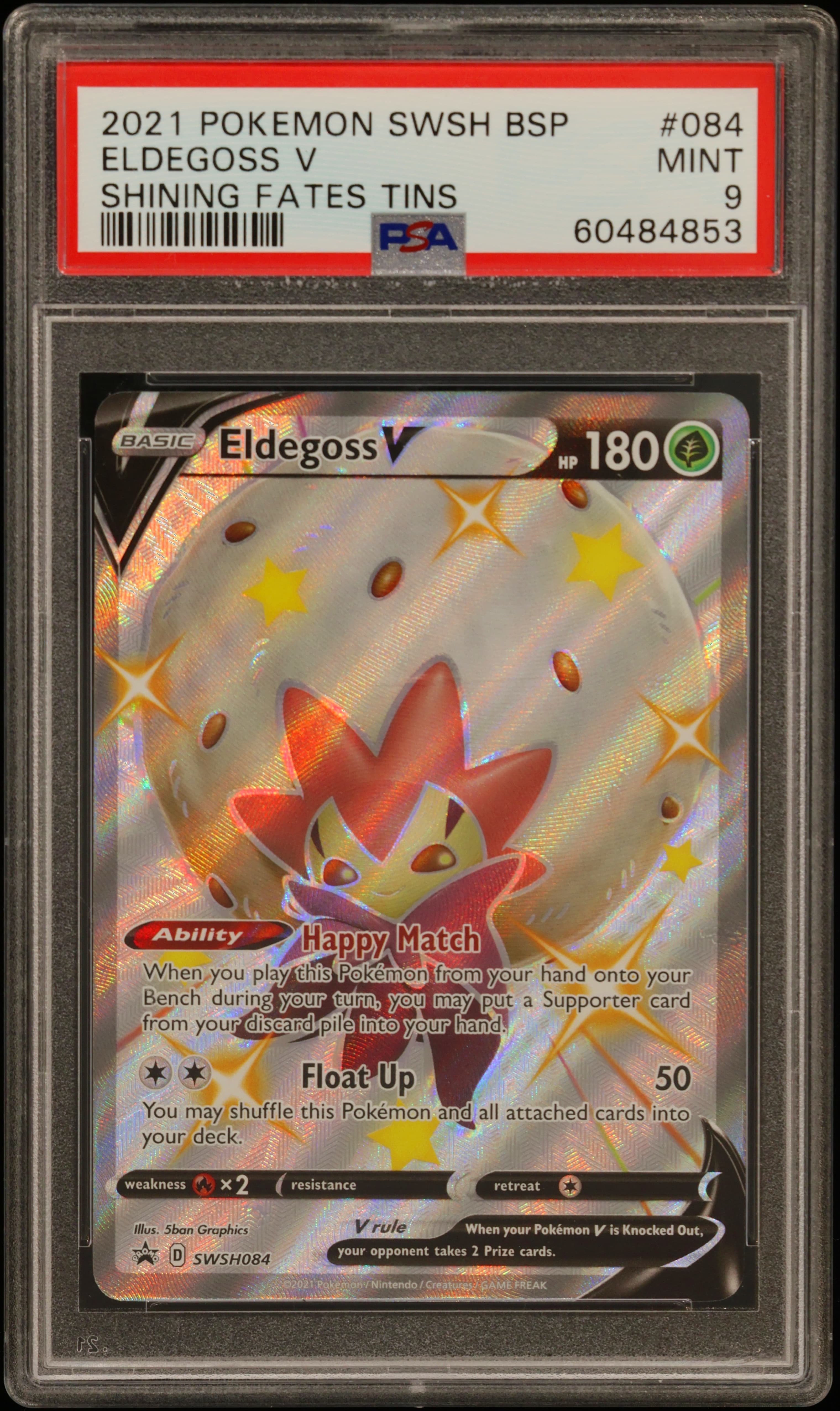 Eldegoss V