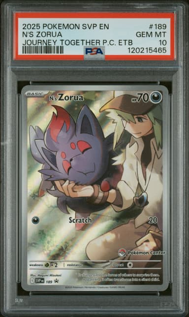 N's Zorua