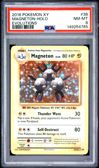 Magneton-Holo