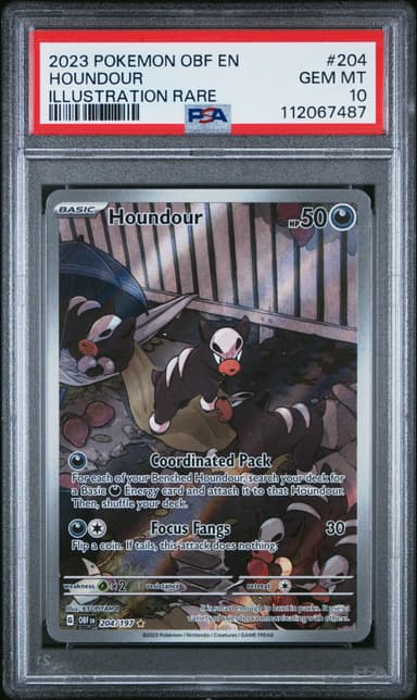 Houndour