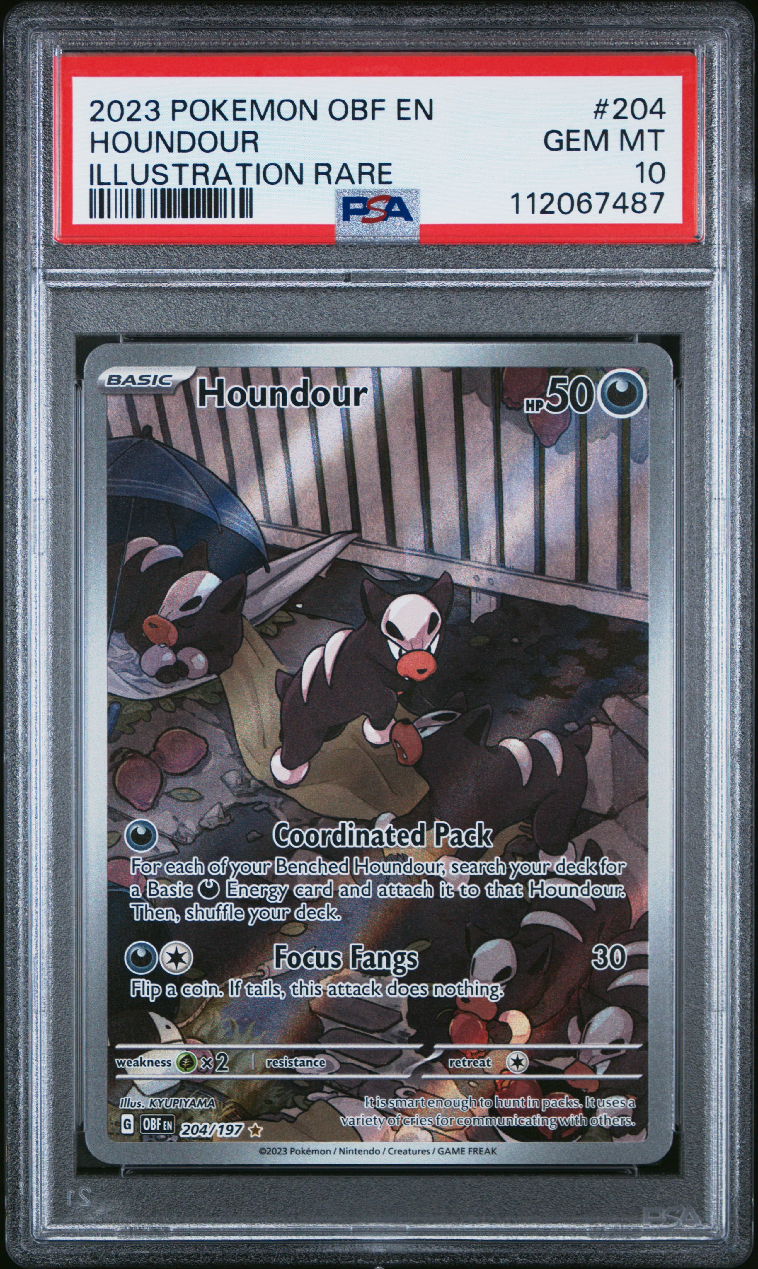 Houndour