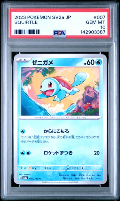 Squirtle