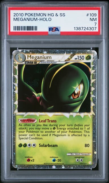 Meganium-Holo