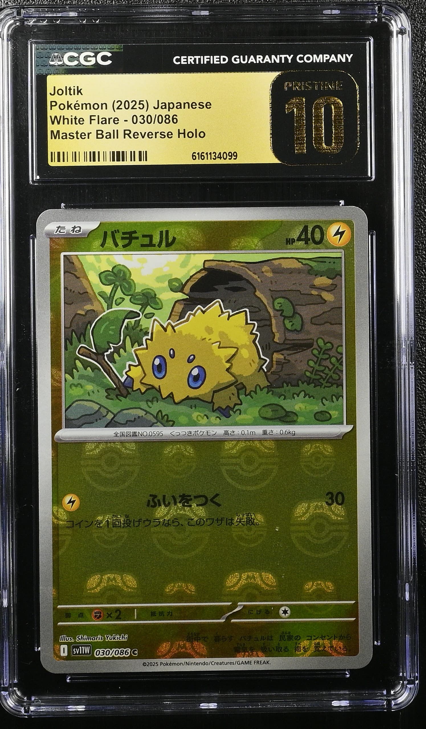 Joltik Master Ball Reverse Holo