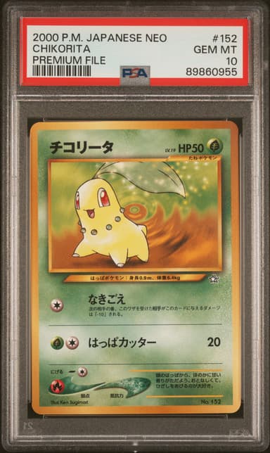 Chikorita
