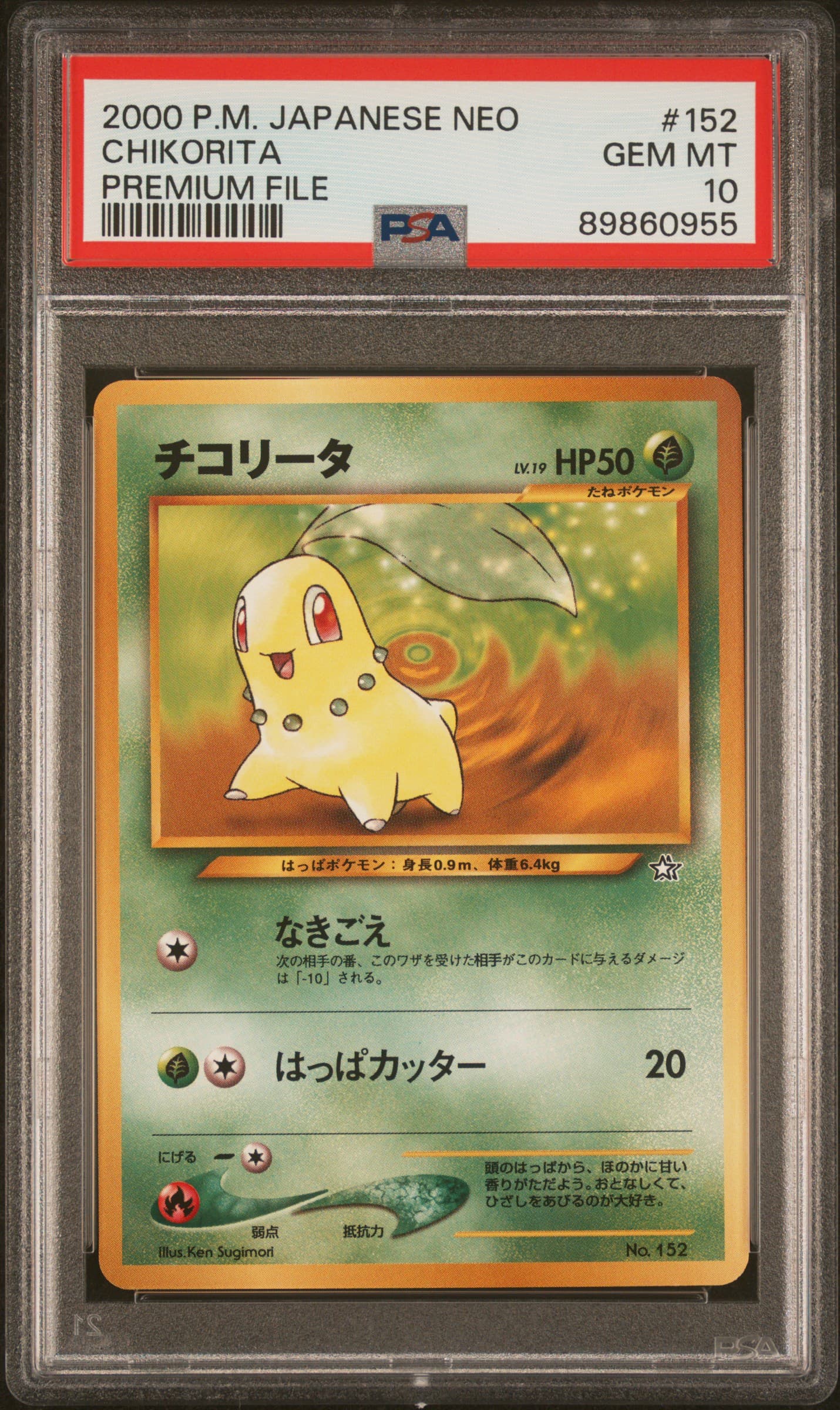 Chikorita