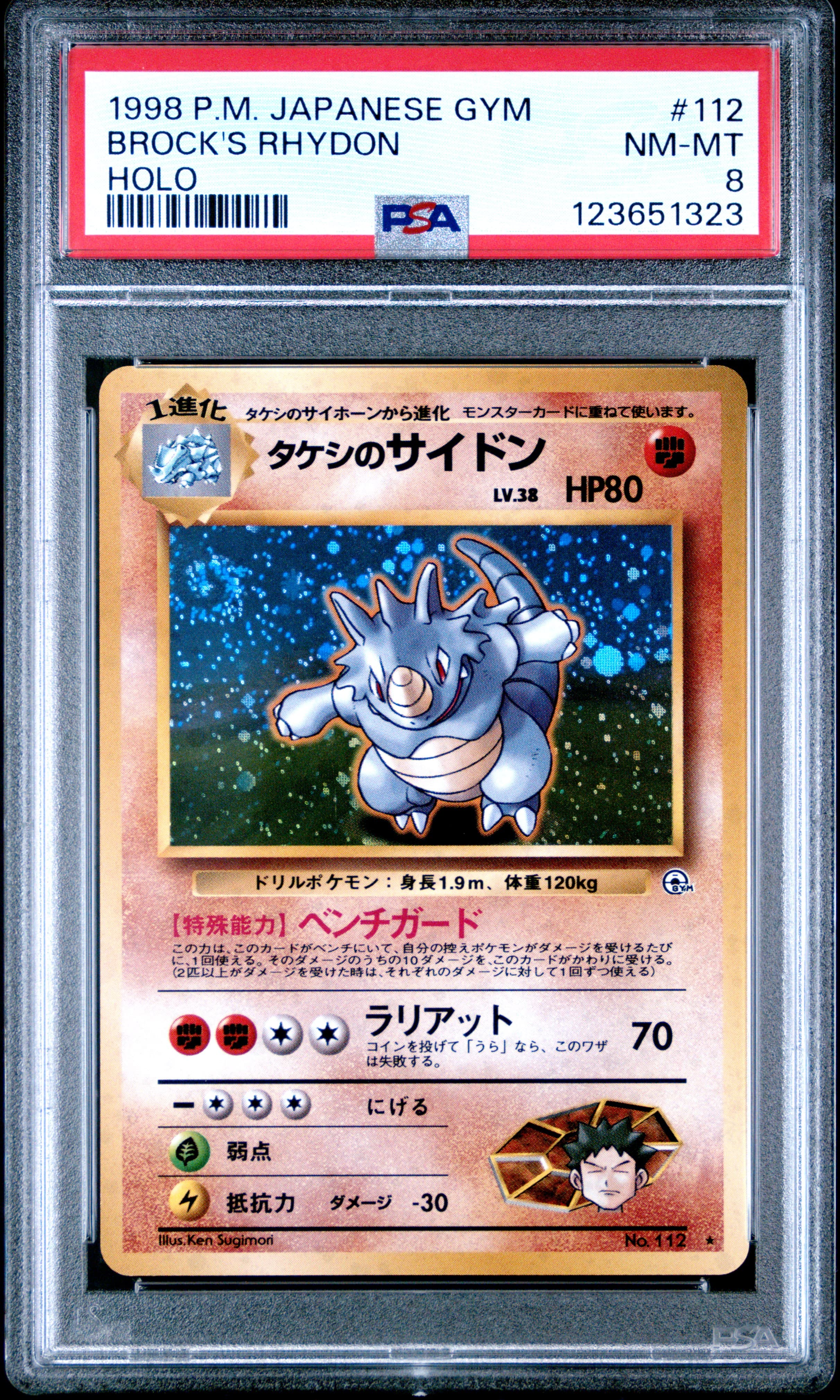Brock's Rhydon-Holo