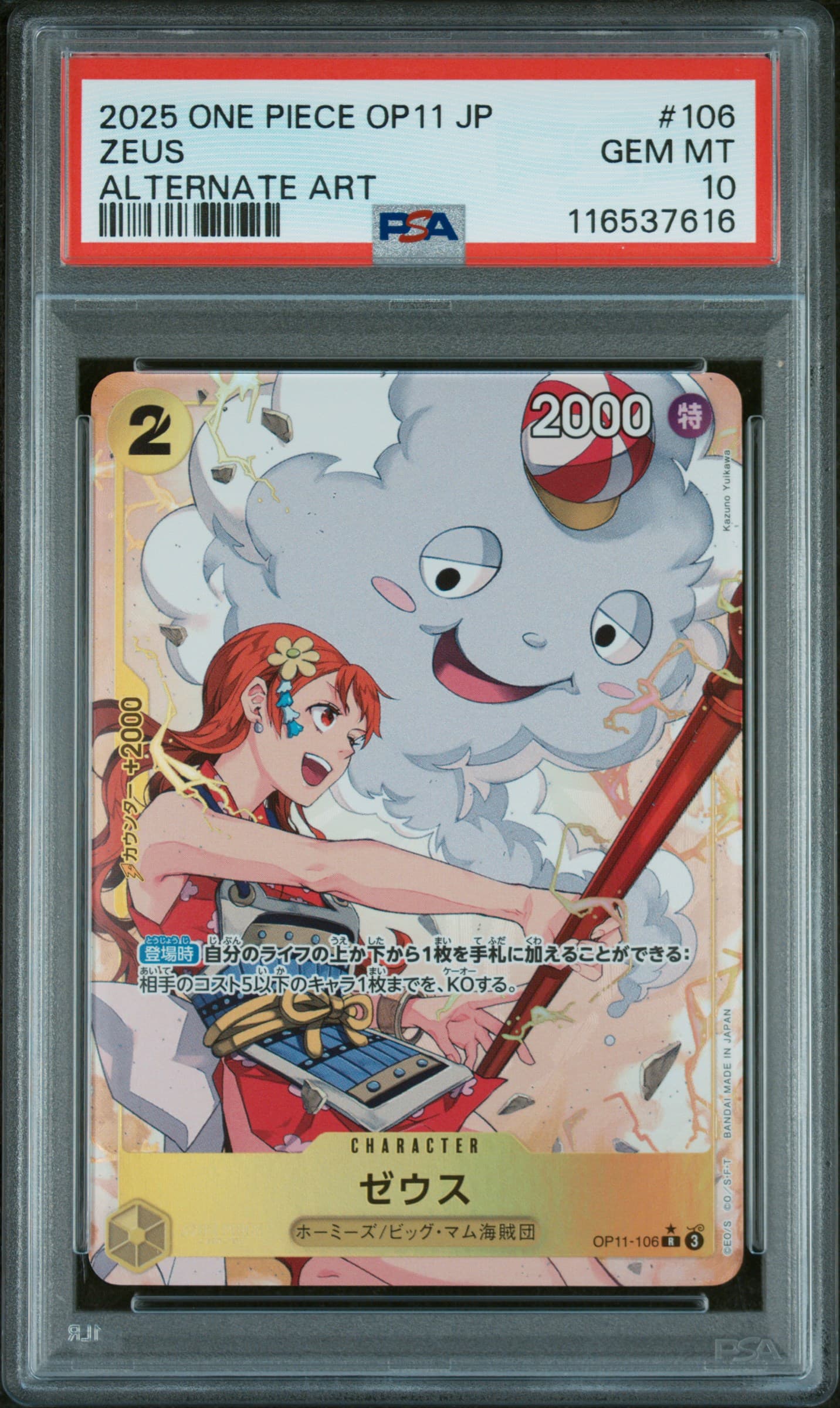 Zeus