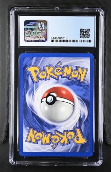 Brock