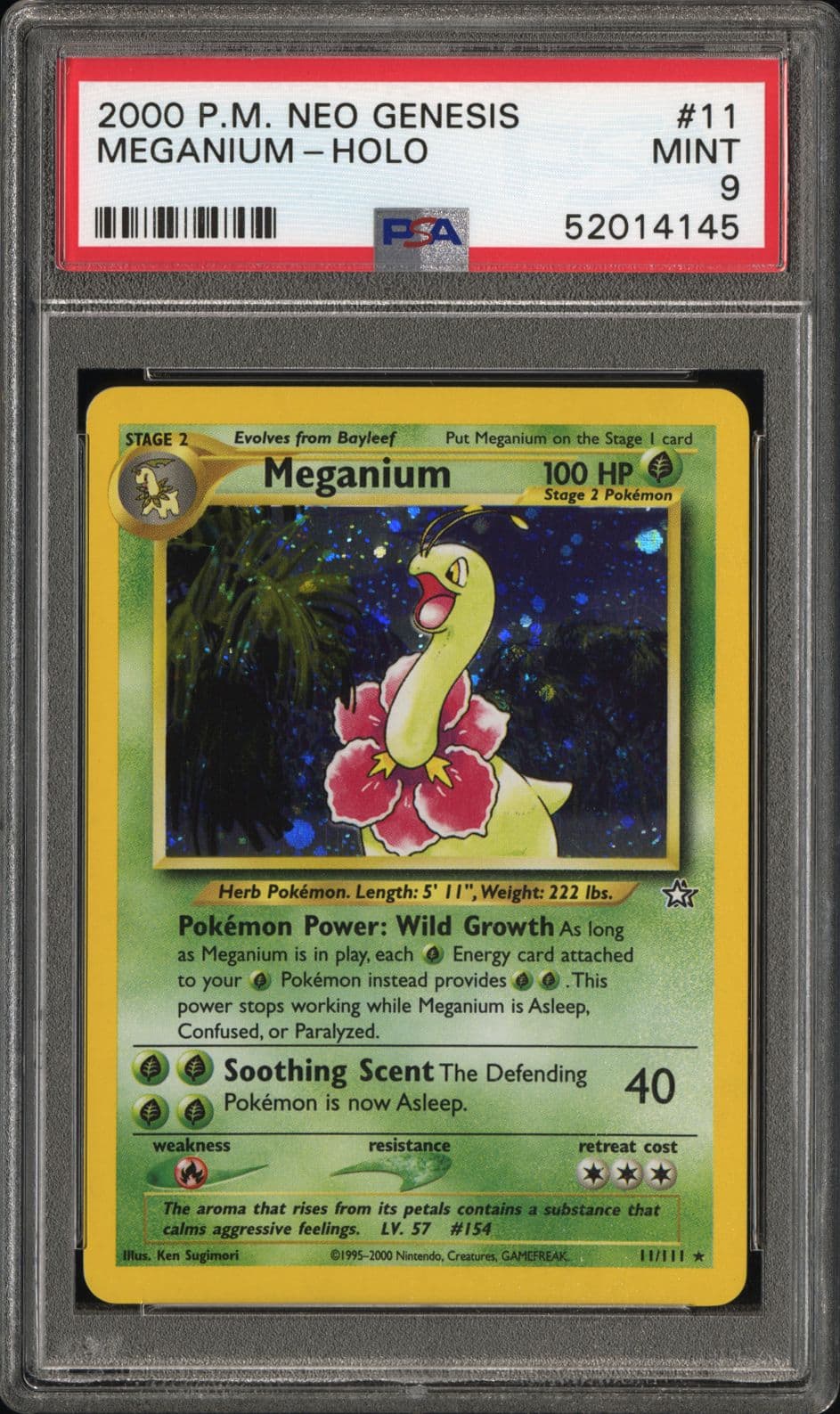 Meganium-Holo